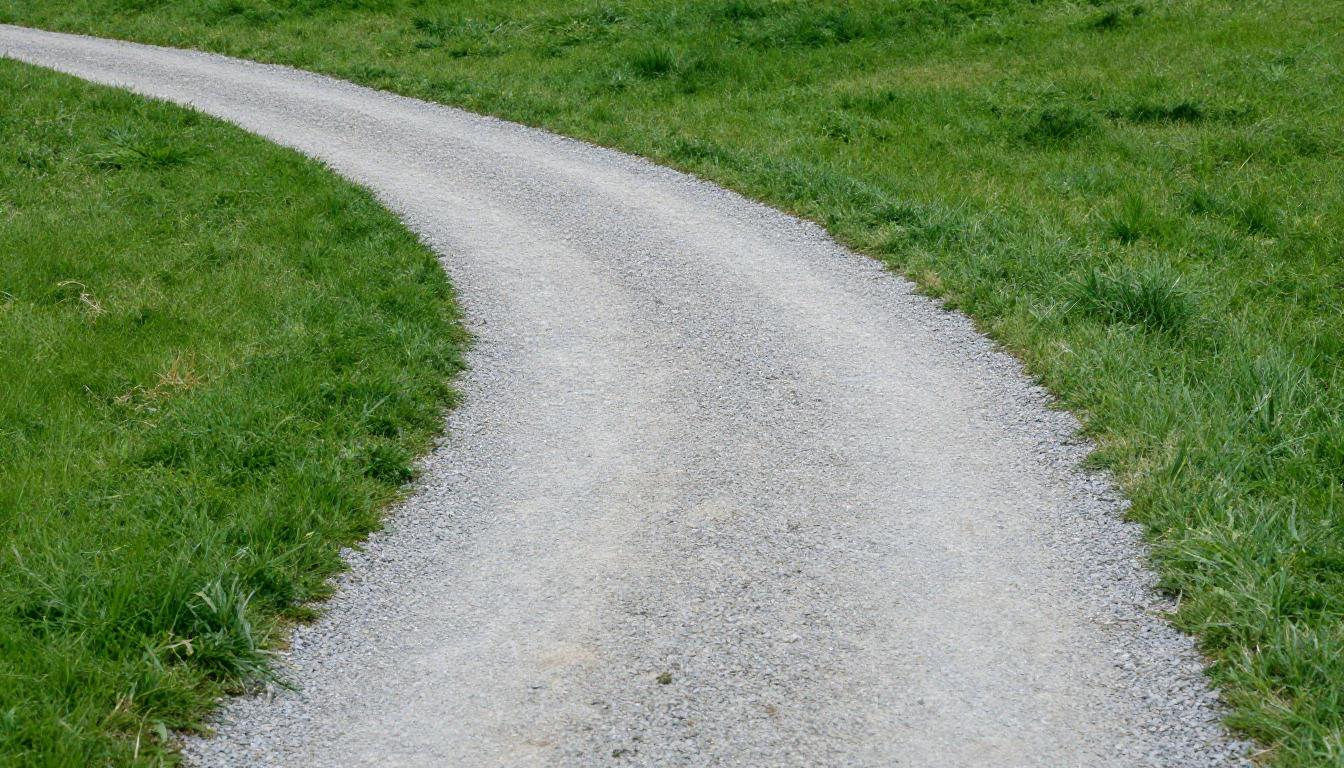 A winding gravel path on green grass showing how treatment maps new brain networks.
